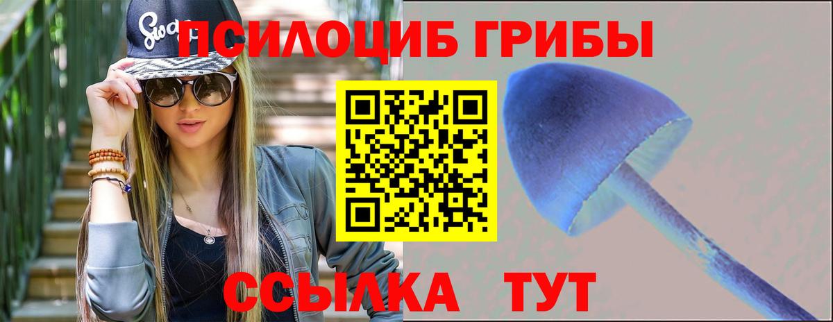 Сертолово  Псилоцибиновые грибы Magic Shrooms  закладки  Вход с VPN 